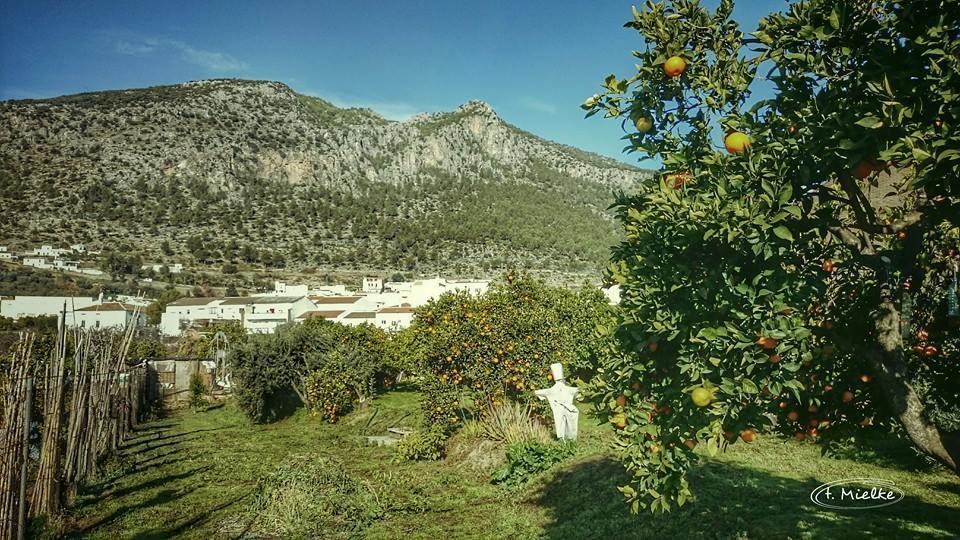 La Carrihuela Pension Algodonales Buitenkant foto